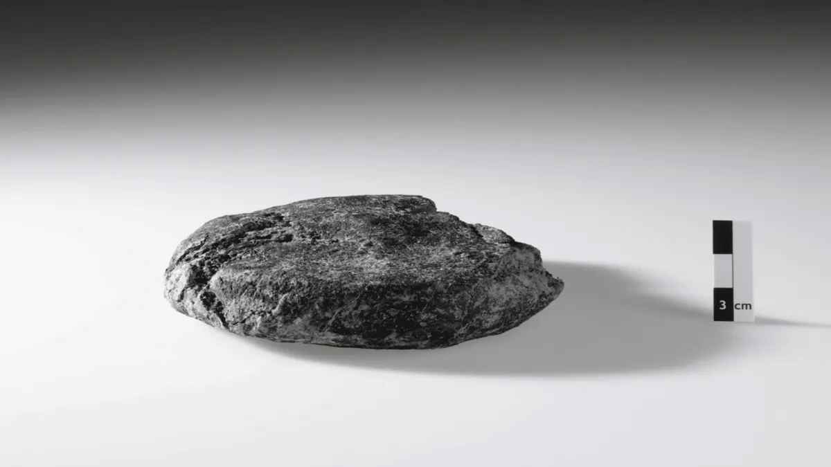 Article illustration