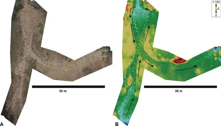 Overhead views of fossil footprints as photographic model and elevation map