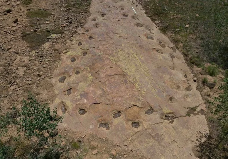 Aerial view of West Gold Hill Dinosaur Tracksite section
