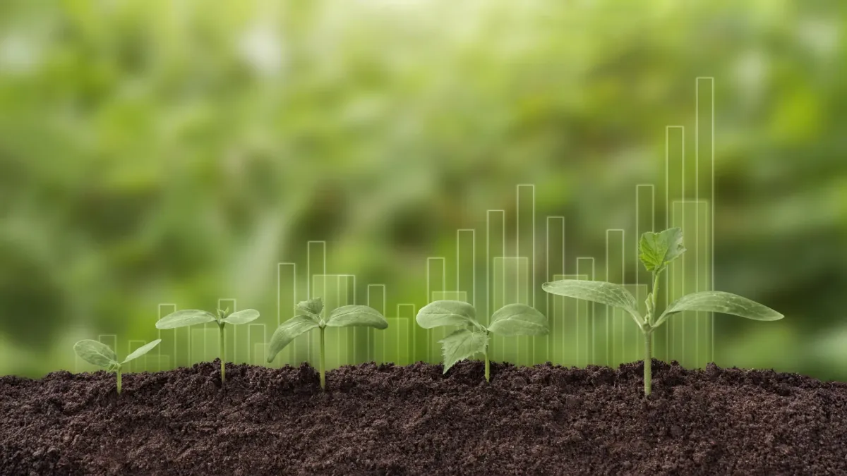 The Secret Ingredient Slowing Nature's Carbon Capture