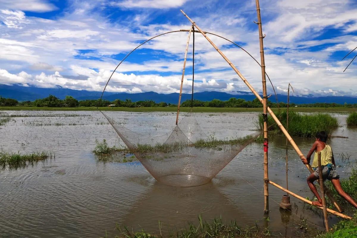 Bangladesh Just Made It Illegal To Mess With Its Wetlands. Seriously.