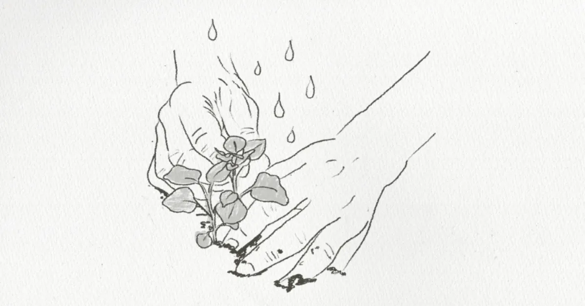 Article illustration
