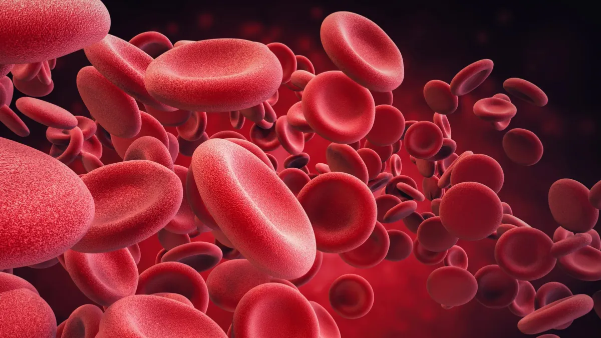 Scientists Found the Secret to Making Old Blood Young Again