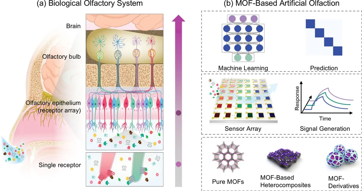 AI-powered electronic nose can distinguish tens of thousands of odors
