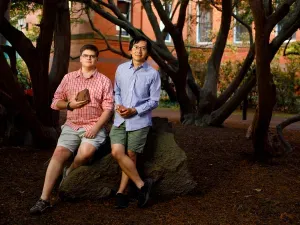 Article illustration