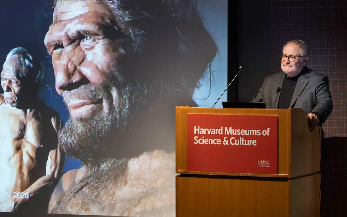 Article illustration