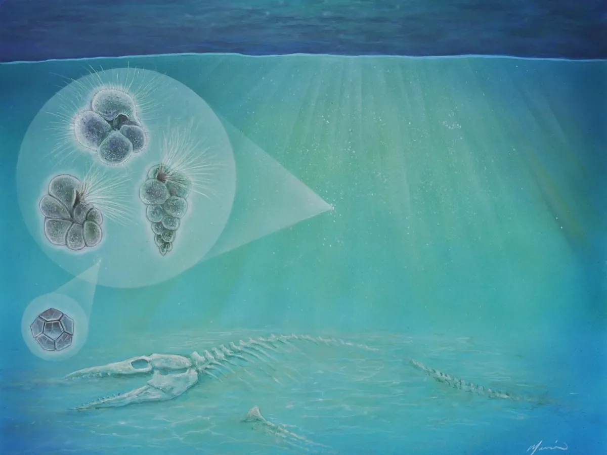 After the Dinosaur-Killing Asteroid Wrecked the Planet, Life May Have Bounced Back Surprisingly Fast