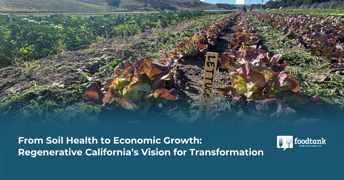 California's Wild Plan to Grow an Entirely New Economy