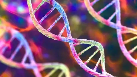 Getty Images An image of the double helices of DNA as seen under a microscope. The twisted ladder-like structures are multi-coloured. The one in the centre of the image is in focus and others become increasingly blurred as they fade into the background.