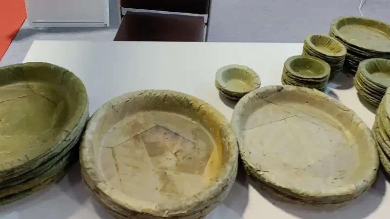 Nepal's Latest Eco-Trend? Plates Made From Leaves.