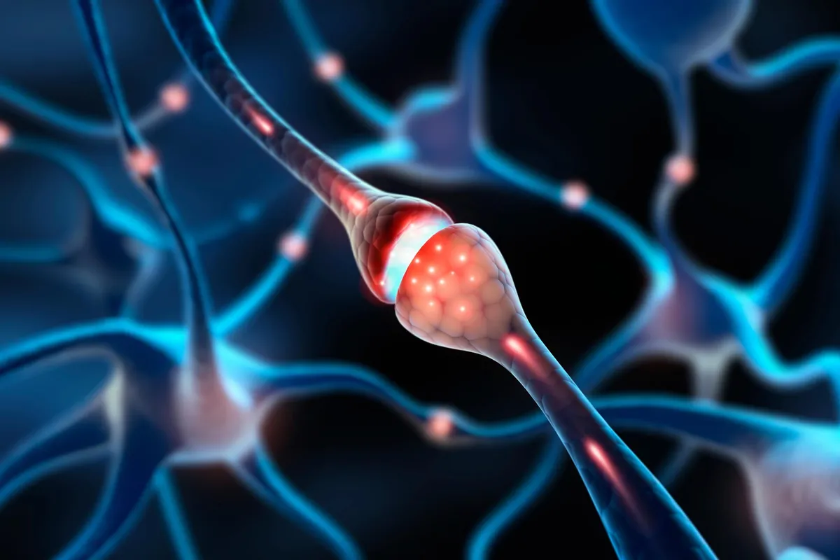 Scientists restore nerve cell energy to treat chronic pain at its source