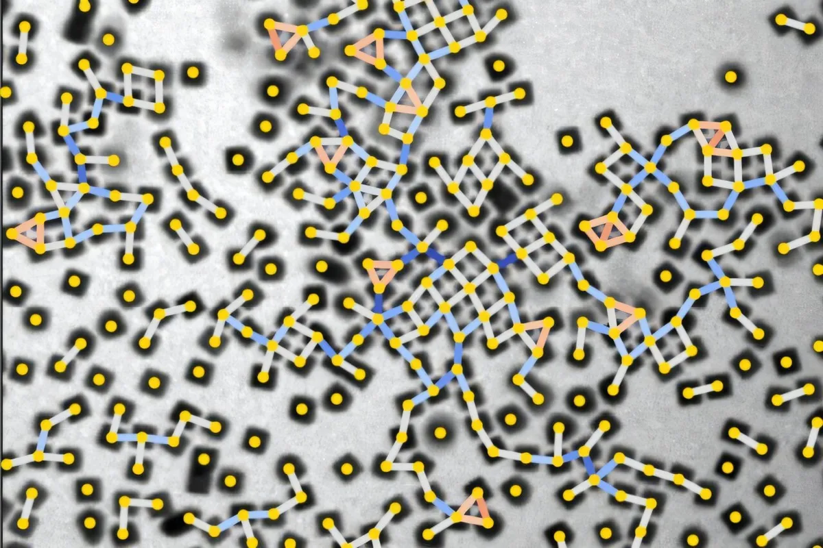 Complexity isn't subjective—the right amount results in new material properties