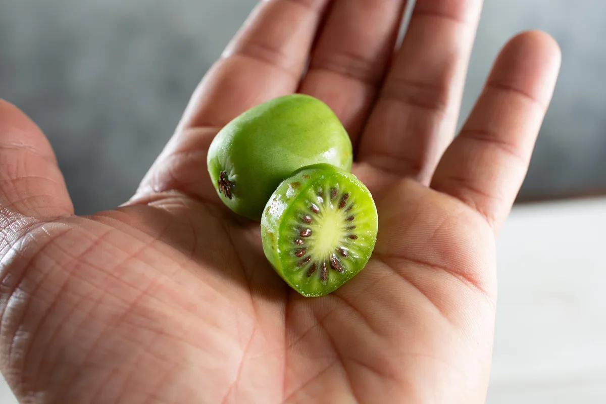 This Little-Known Japanese Fruit Could Help Stop Lung Cancer Before It Starts