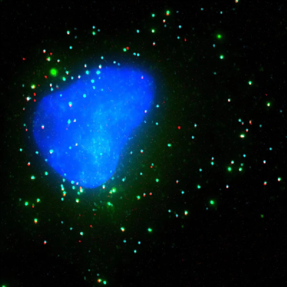 Alternative mRNA modification lets ribosomes move nearly twice as fast