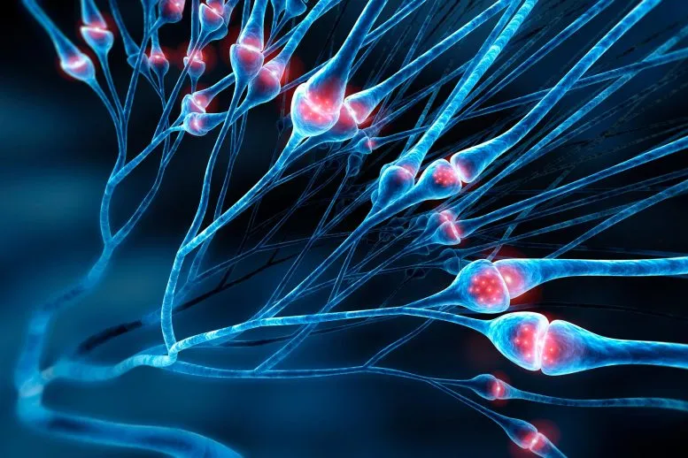 Researchers Have Discovered a New Way To Reduce Chronic Nerve Pain