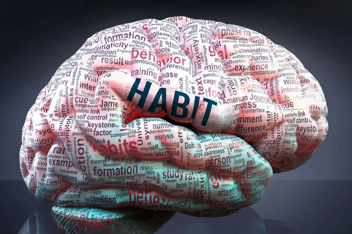 Your Brain Might Be Forming — or Breaking — Habits Faster Than You Think