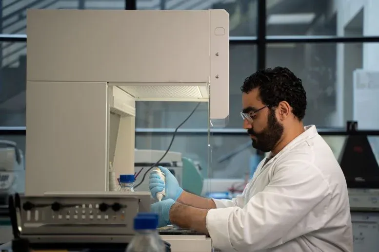 The handling of the yeast is carried out under sterile laboratory conditions.