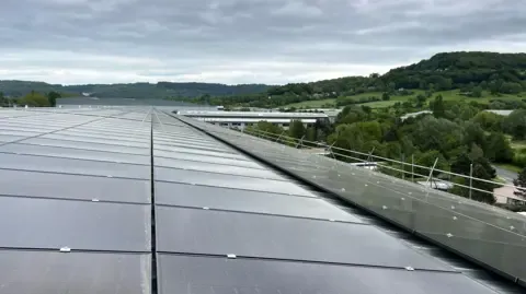 Close up of solar panels with trees and a grey sky in the background.