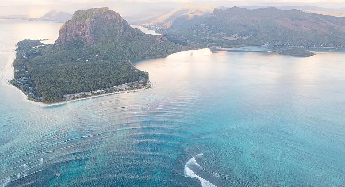 Mauritius Restores Reefs with Heat-Resistant Coral and Sees 98% Survival Rates
