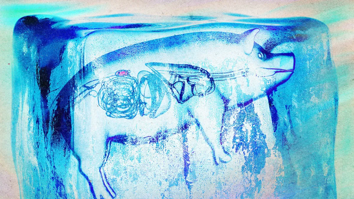 Article illustration