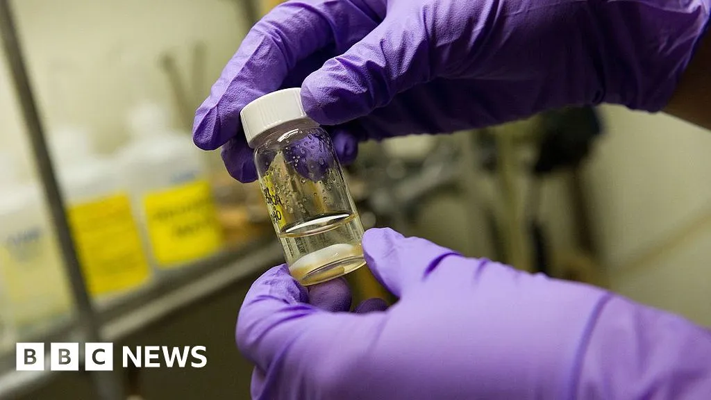 Stanford researchers develop universal vaccine for respiratory infections