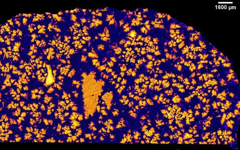 An X-ray image of NWA 12774.