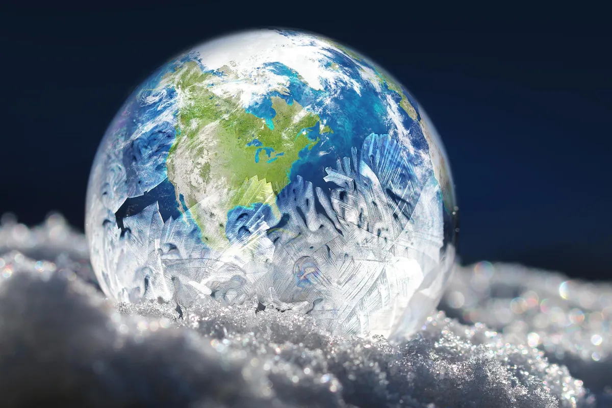 Hidden forests thrived in the North Sea's lost land earlier than believed