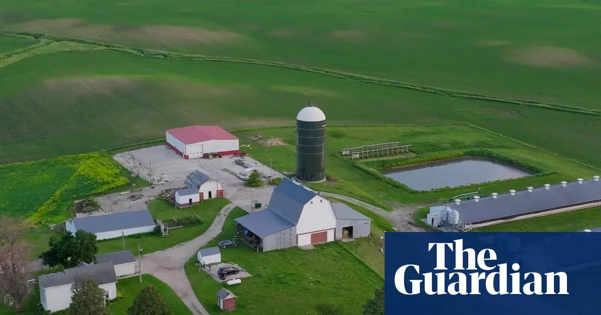 Iowa pig farmer trades livestock for mushrooms, finds new life