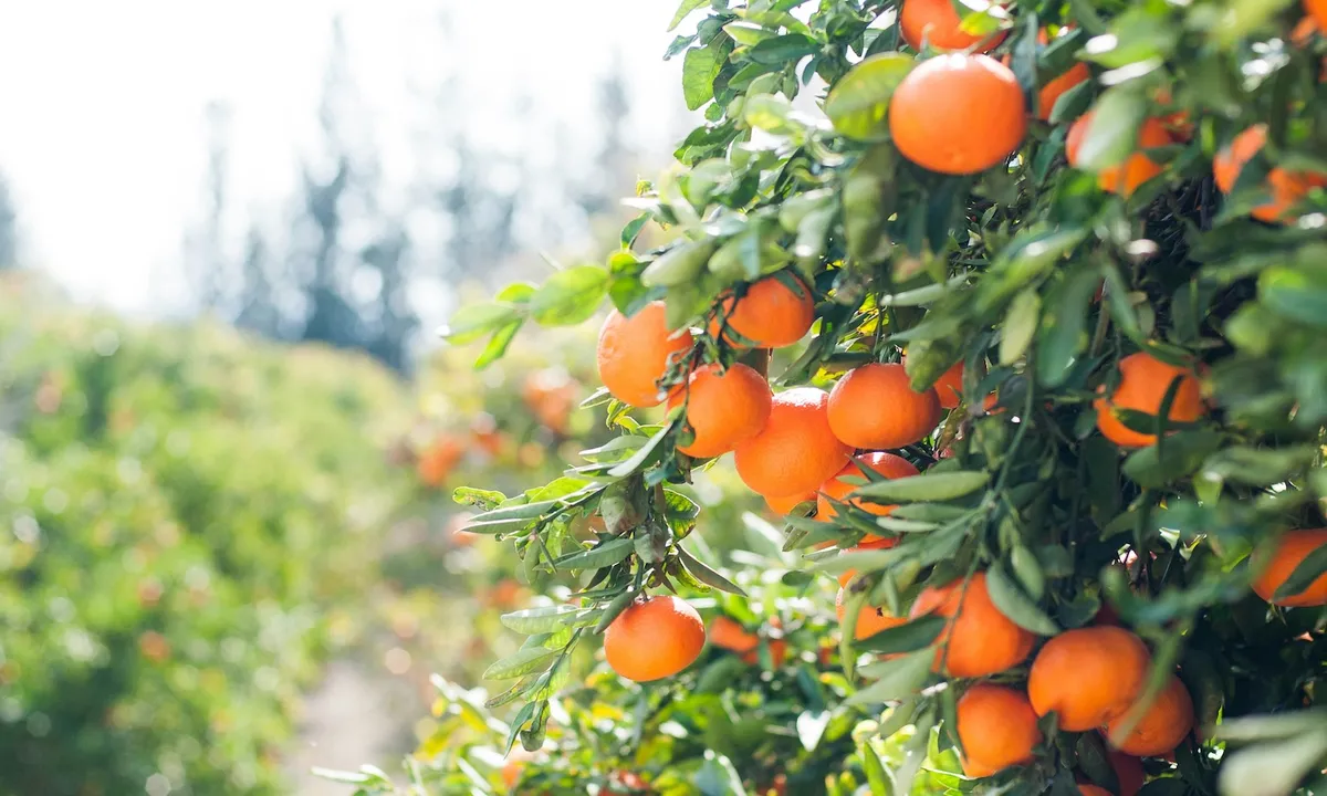 Professor launches climate stories to replace fear with possibility