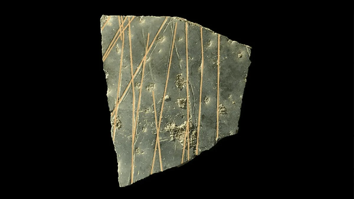 60,000-year-old egg carvings show humans invented abstract thought