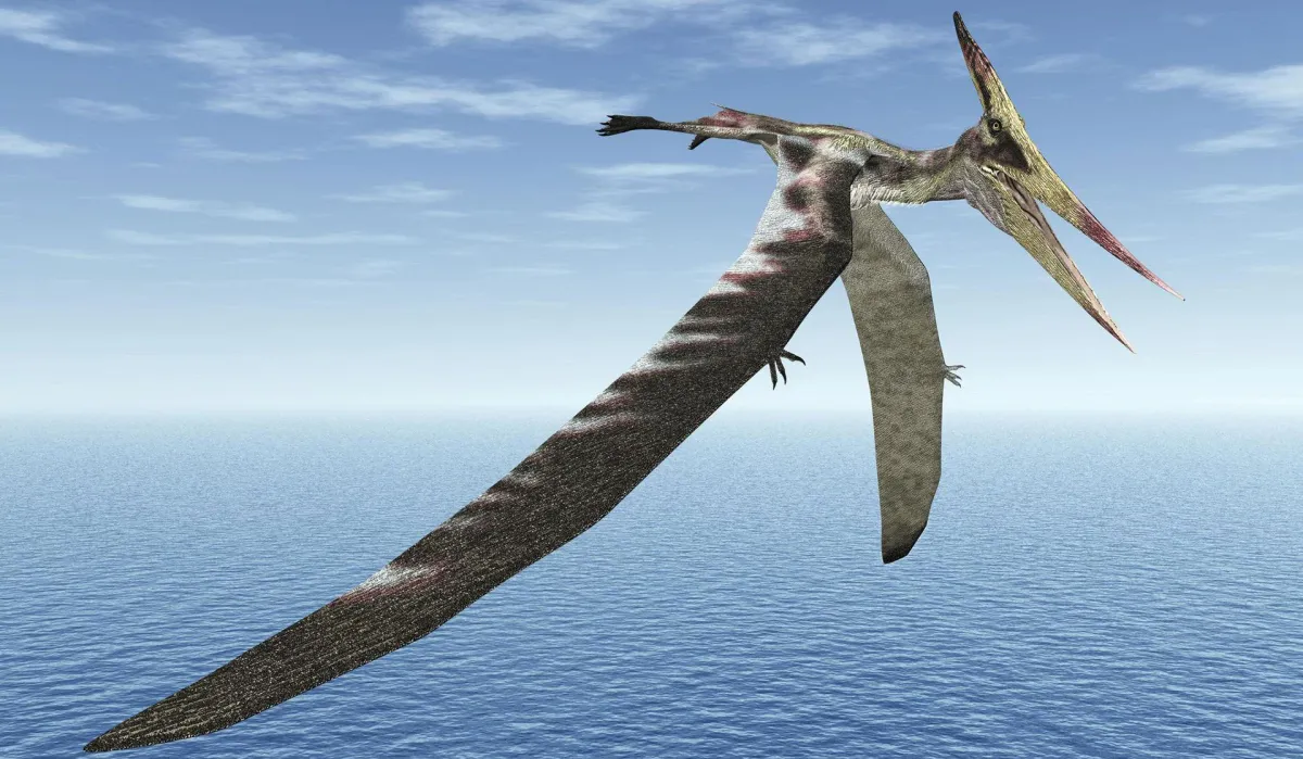 Scientists Discover the First-Ever Molecules Preserved Inside a 113-Million-Year-Old Pterosaur Fossil