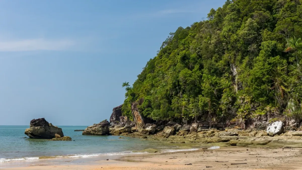 The Real-Life Teenage Castaways Who Proved "Lord of the Flies" Wrong
