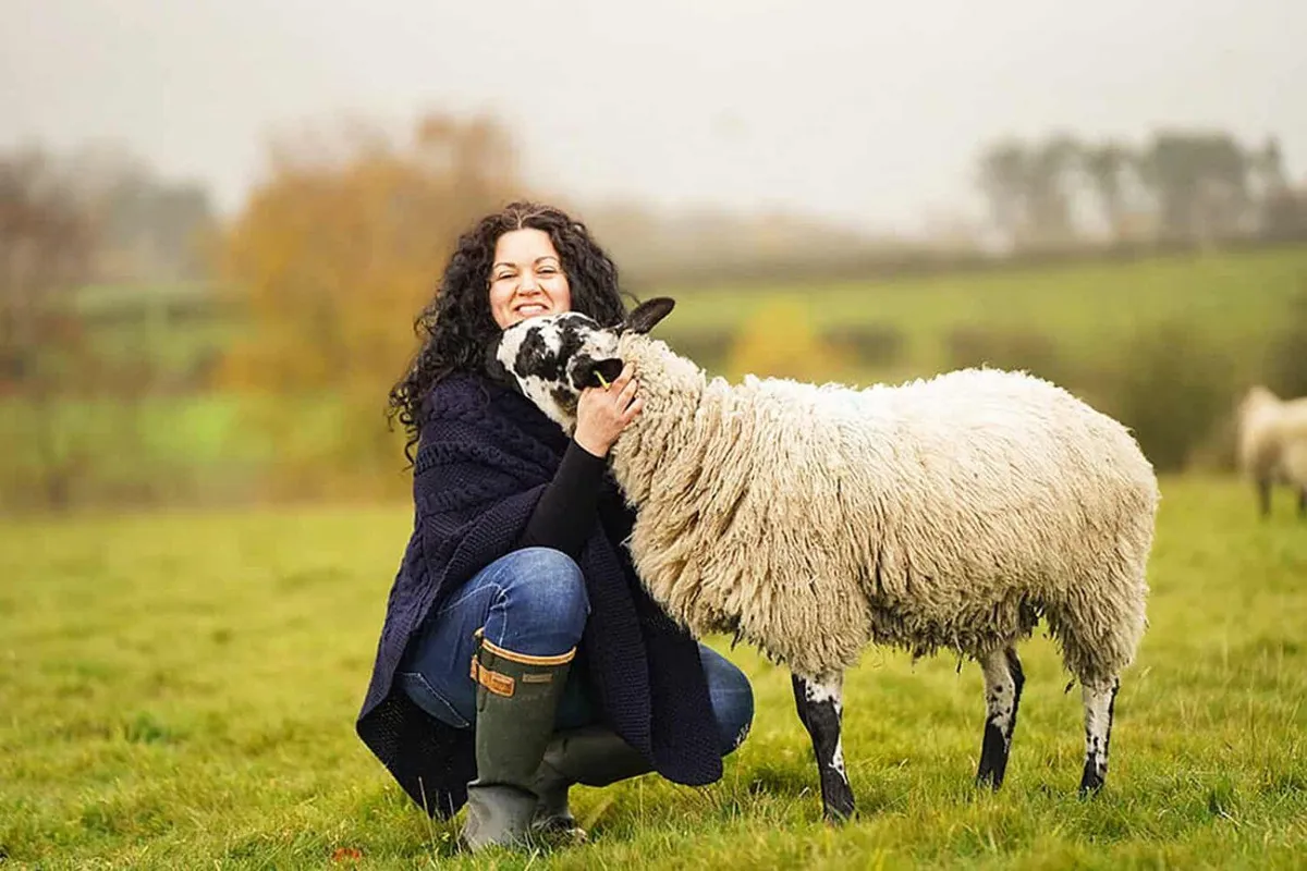 Shear comfort, the sheep helping people unload their worries