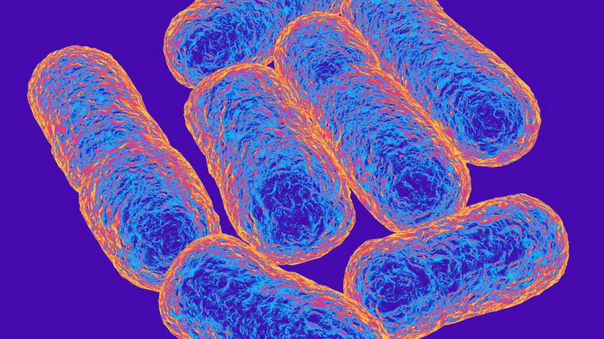 A 'Living Drug' Could Revolutionize Diabetes Treatment
