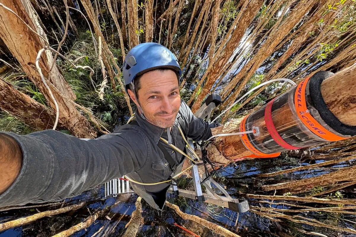 Hidden heroes: Australian tree bark microbes consume greenhouse & toxic gases