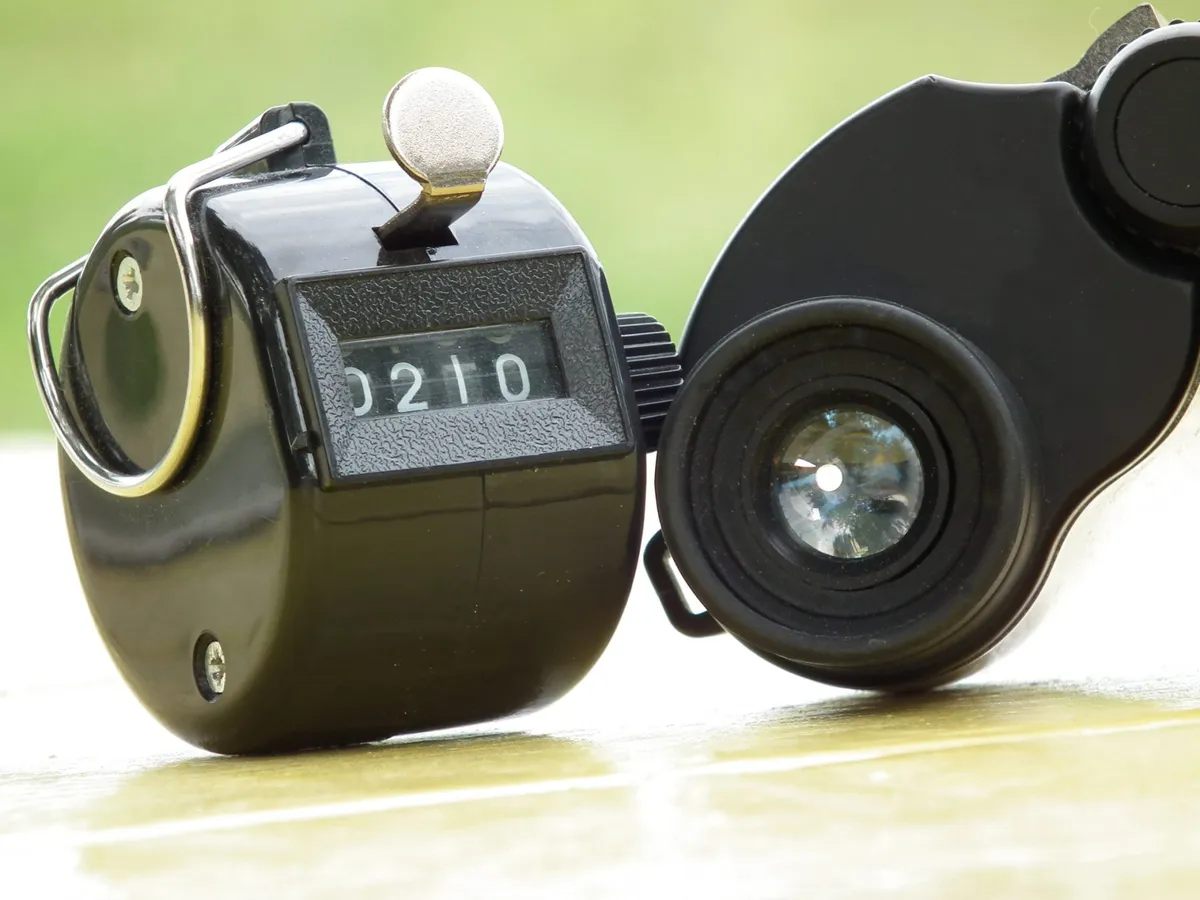 Article illustration