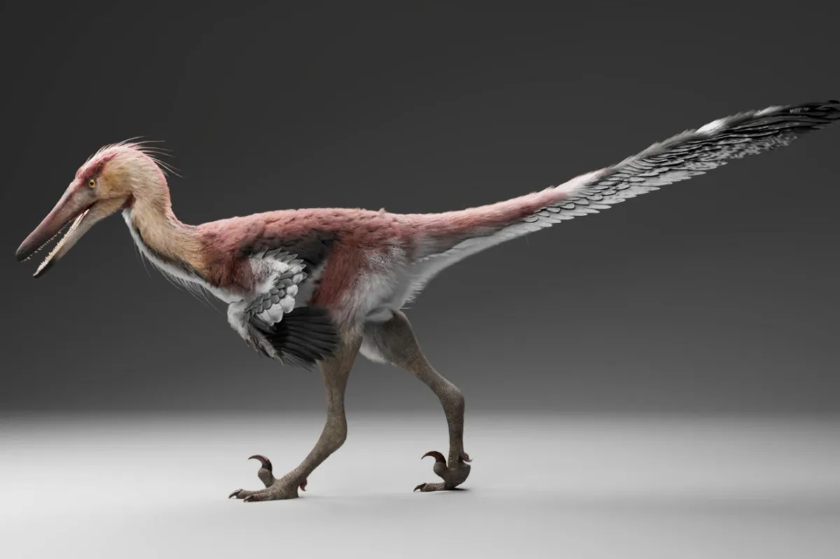 This Dinosaur Had the Claws of a Raptor but Hunted Like a Heron