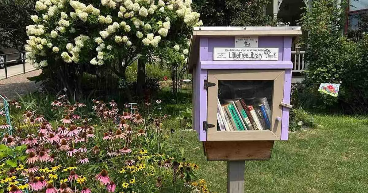 These 'Little Free Libraries' Now Offer Buzz-Worthy Stays for Bees