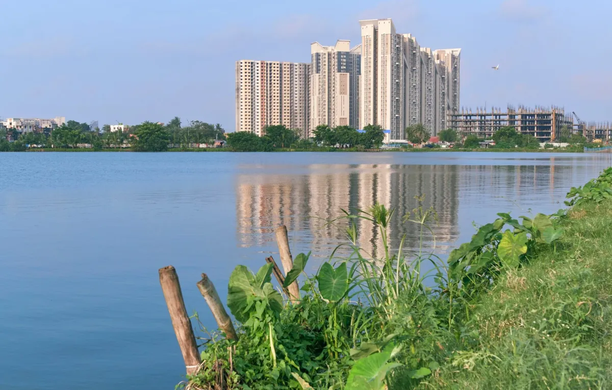These Wetlands Treat the Wastewater of a Megacity