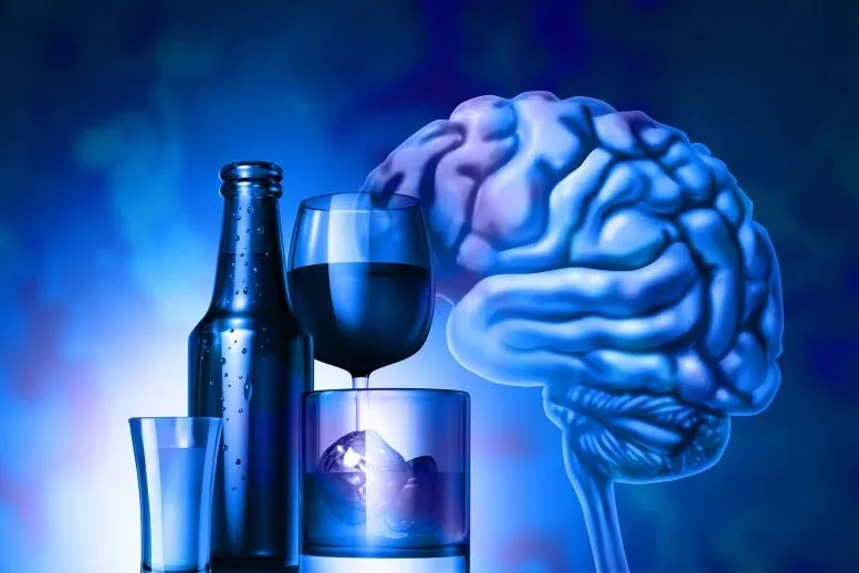 Quitting Alcohol Can Change the Brain in Surprising Ways, Mouse Study Finds