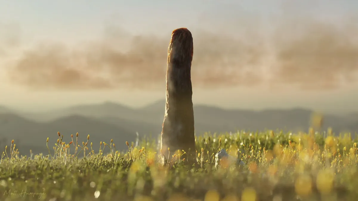 This Mysterious 407-Million-Year-Old Fossil May Represent a Previously Unknown Branch of Life