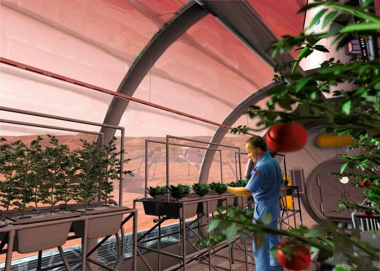 Move Over, Matt Damon: Fungi Could Turn Martian Dirt Into Dinner