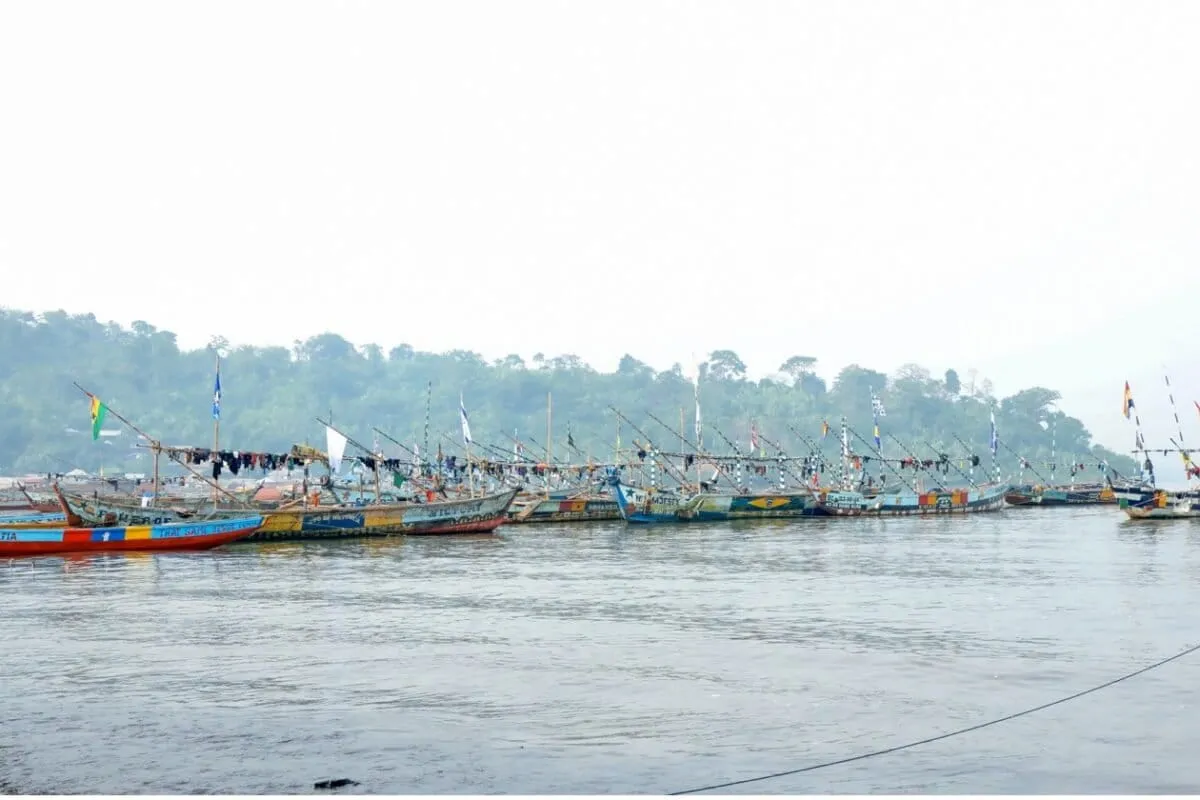 Cameroon's Sharks and Rays Finally Get Their 'Big Book' Moment