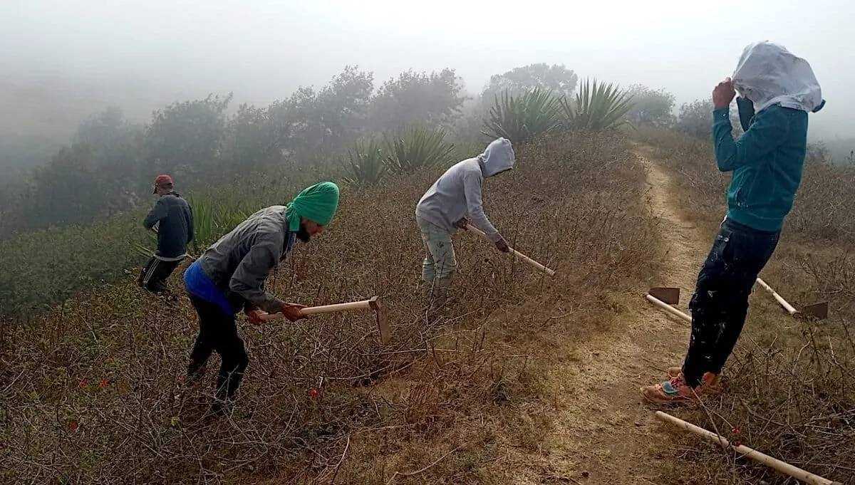 Local communities are conservation’s most undervalued asset (commentary)