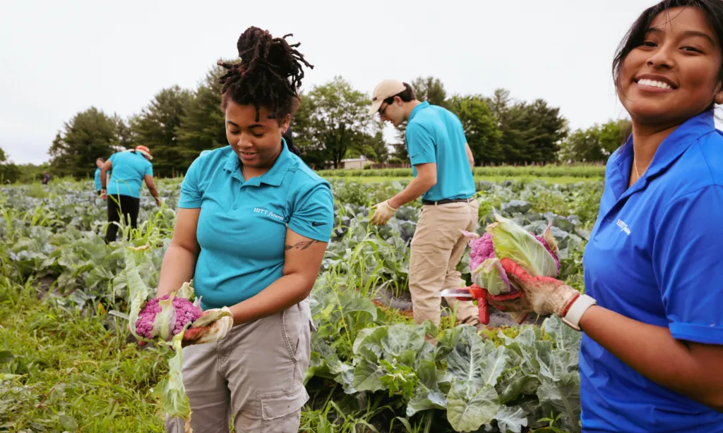 A Volunteer-Powered Solution to Food Insecurity in Virginia