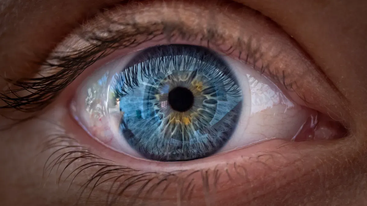 Humans have weirdly white eyes. Here’s why.