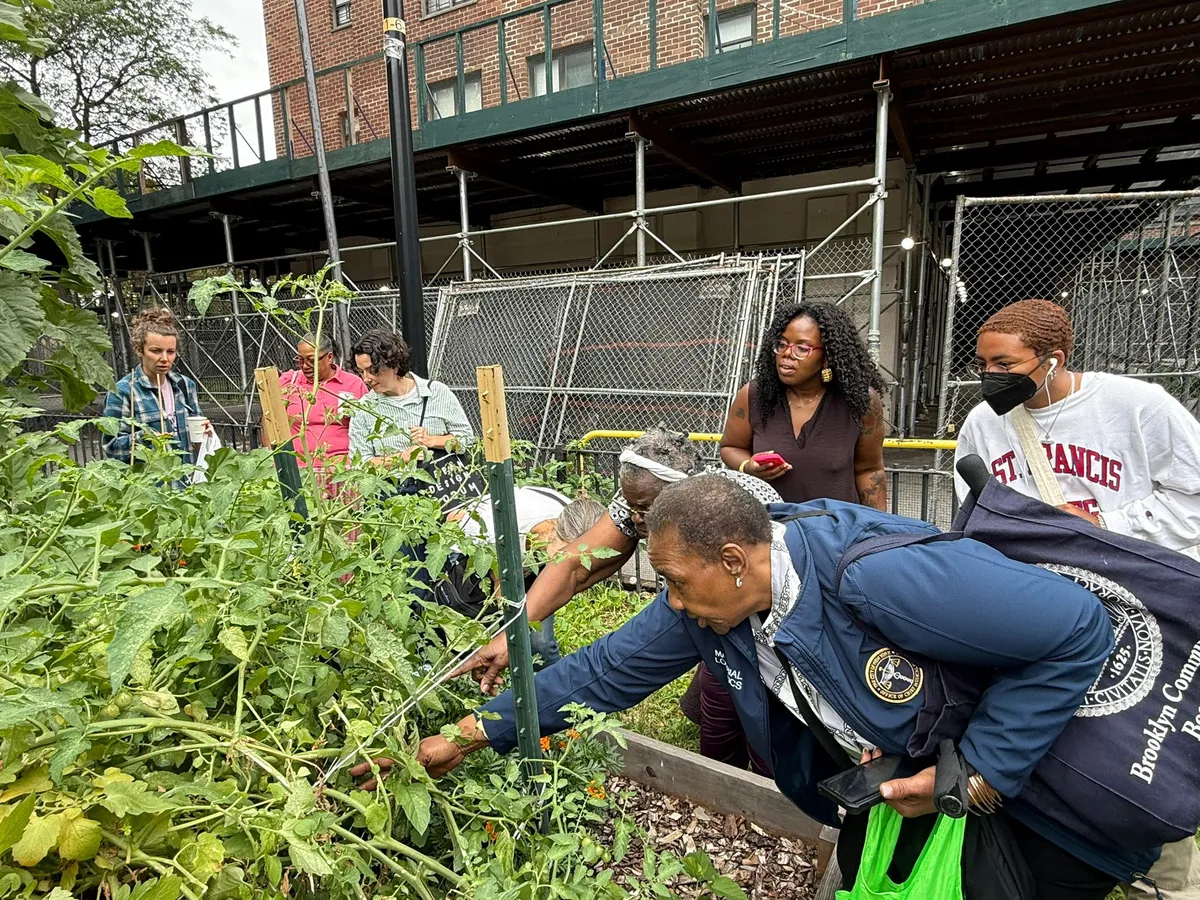 Got a Climate-Friendly Idea for NYCHA? This Grant Could Help Fund It
