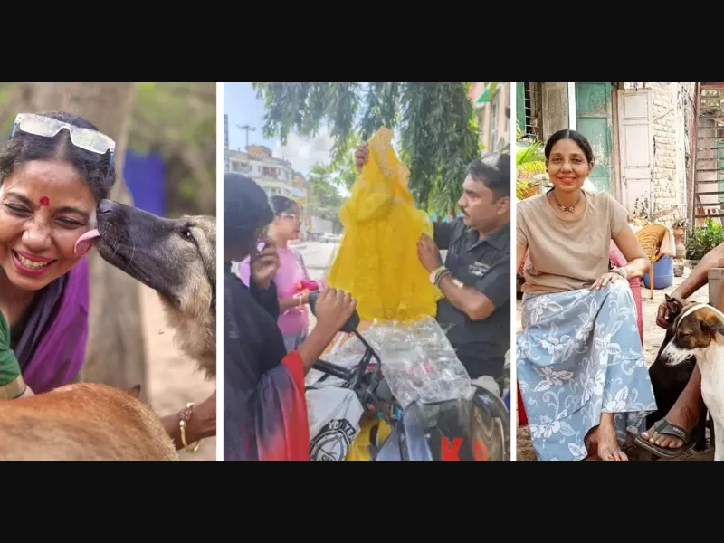 Sarah Iyer cares for nearly 500 abandoned and disabled dogs at Daaman Sanctuary