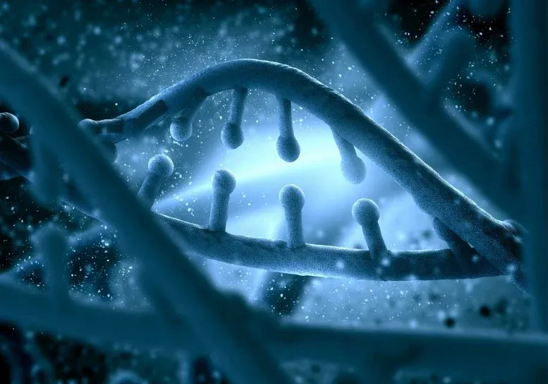 Scientists Just Got a Near-Molecular Look at DNA Folding in Live Cells