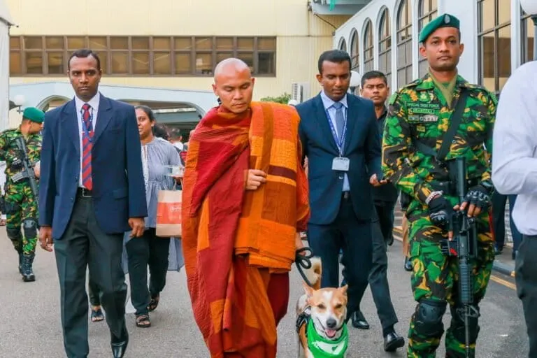 Article illustration